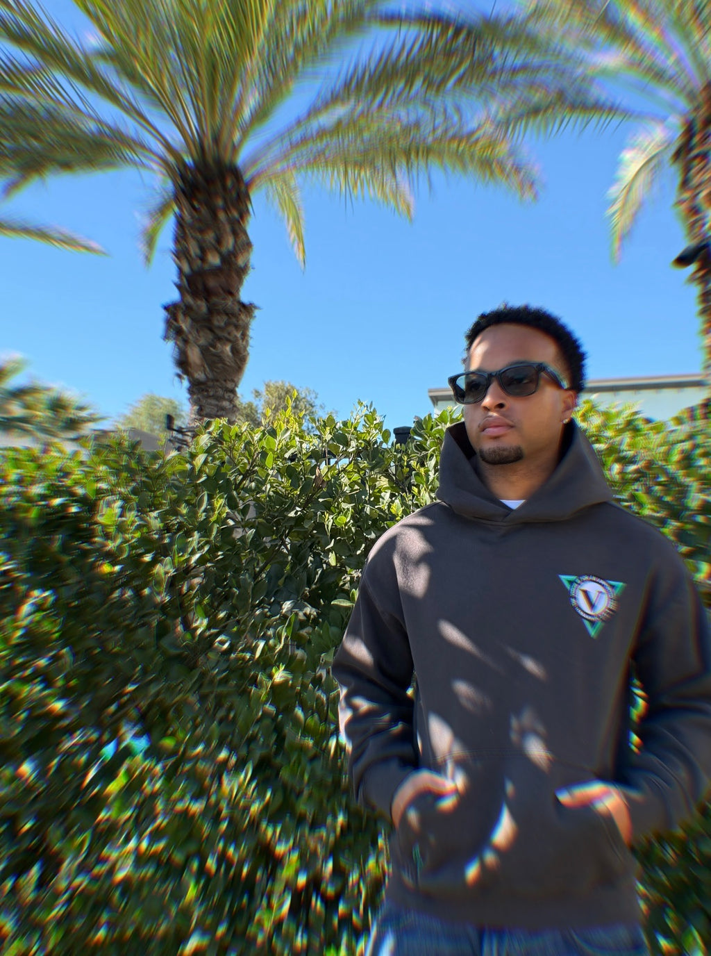 Mens VISION HOODIE